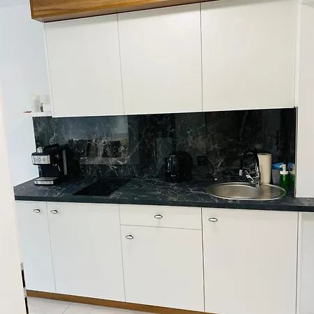 Trzy Sosny Okrzei 1c Bezplatny Parking ! Apartman *